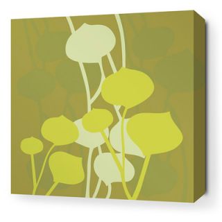 Inhabit Aequorea Seedling Graphic Art on Canvas in Olive SEDOLSW Size 16 x 16