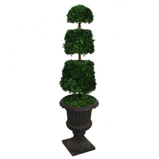 Laura Ashley 58 inch Tall Preserved Natural Spiral Boxwood Cone Topiary In 16 inch Fiberstone Planter