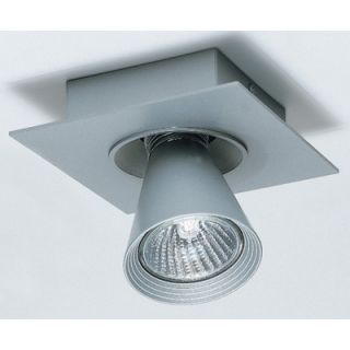 Zaneen Lighting Circe One Light Flush Mount Spotlight in Metallic Gray D9 2045