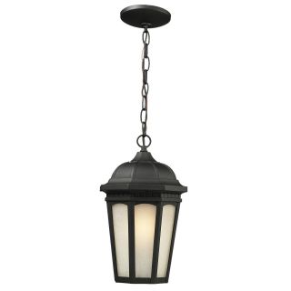 Z lite Outdoor Large Chain Light