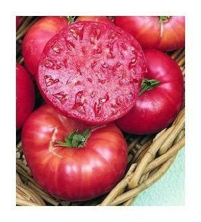 75+ Mortgage Lifter Tomato Seeds  Heirloom Variety  Vegetable Plants  Patio, Lawn & Garden