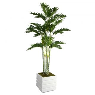 Laura Ashley 74 inch Tall Palm Tree And 14 inch Fiberstone Planter