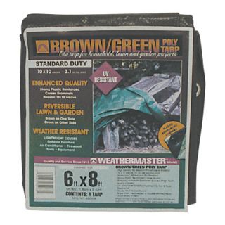 Dize Brown/Green Reversible Poly Tarp — 6Ft. x 8Ft., Model# BG0608  Blue   Green Tarps