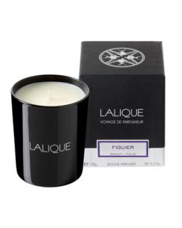 Figuier Amalfi Scented Candle   Lalique