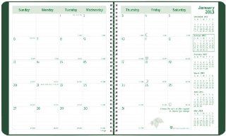 Brownline 2013 EcoLogix Monthly Planner, 14 months (December 2012   January 2014), Twin Wire, Green, 8.875 x 7.125 Inches, 100% post consumer recycled paper (CB430W.GRN 13)  Appointment Books And Planners 