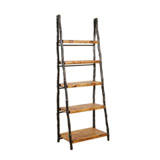 Kenian Coastal Chic 71 Ladder Bookcase 89444 / 89411 Color Tortoise