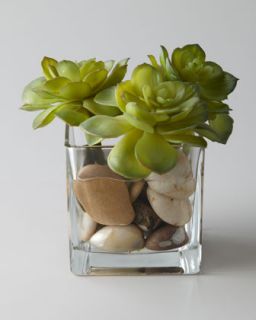 Rocky Succulents Faux Greenery   John Richard Collection