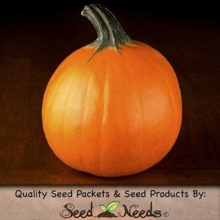 25 Seeds, Pumpkin "Small Sugar Pie" (Cucurbita pepo) Seeds by Seed Needs  Pumpkin Plants  Patio, Lawn & Garden
