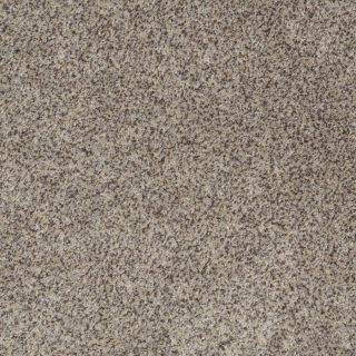 STAINMASTER Trusoft Private Oasis II Aztec Wave Fashion Forward Indoor Carpet