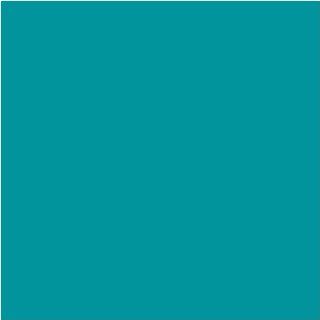 12" x 10 ft Roll of Matte 631 Teal Repositionable Adhesive Backed Vinyl for Craft Cutters, Punches and Vinyl Sign Cutters ? Vinyl Ease V1455