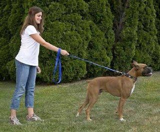 Dog Double Handled Leash Blue 1X6'  Pet Leashes 