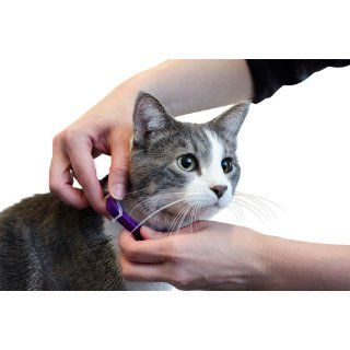 GOODbehavior Pheromone Calming Collar Cat 15 In  Pet Relaxants 
