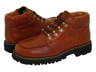 Ariat Switchback Mens Lace up casual Shoes (Brown)