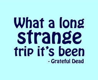 What A Long Strange Trip It's Been   Grateful Dead Quote X L Removable Vinyl Wall Art Decal Home Decor Sticker 
