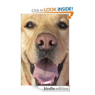 Jack A book about a dog where the dog doesn't die at the end eBook Ray Braswell Kindle Store