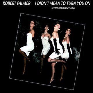 I Didn't Mean to Turn You on / Addicted to Love (Vinyl 12 Inch Single) Music