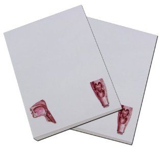 Swallowing Note Pad, See Animation Effect of the Swallowing Process By Flip the Note Pad Stack Size4x5.25inch, Dysphagia 