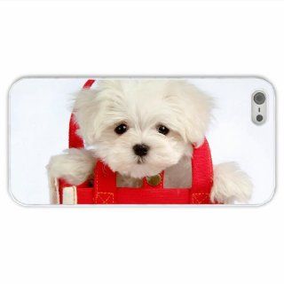 Tailor Apple Iphone 5/5S Animal Dog Of Birthday Gift White Cellphone Skin For Everyone Cell Phones & Accessories
