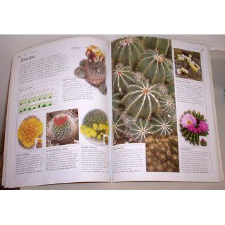 Complete Book of Cacti & Succulents Terry Hewitt 0790778165703 Books