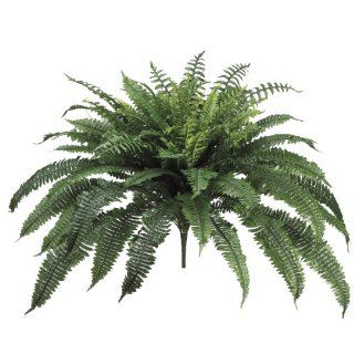 Shop Allstate Floral New Boston Fern Bush, 35 Inch at the  Home Dcor Store. Find the latest styles with the lowest prices from Allstate Floral