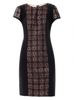 Grenada lace panel dress  Collette by Collette Dinnigan  MAT