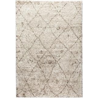 Moroccan Lattice Shag Vanilla Well woven Area Rug (67 X 910)