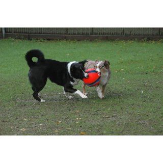 Chuckit Kick Fetch Toy Ball for Dogs, Large  Pet Toy Balls 