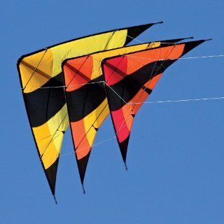 Into The Wind Fleet Stack of 3 Stunt Kites Toys & Games