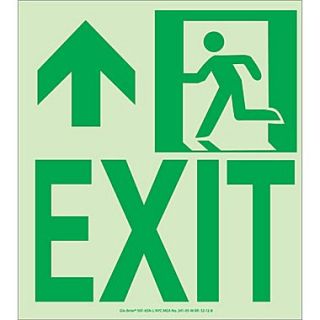 NYC Wall Mount Exit Sign, Forward/Left Side, 9X8, Flex, 7550 Glow Brite, MEA Approved