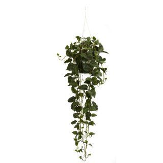 Real Looking Philodendron Hanging Basket Silk Plant Green Colors   Silk Plant   Artificial Plants