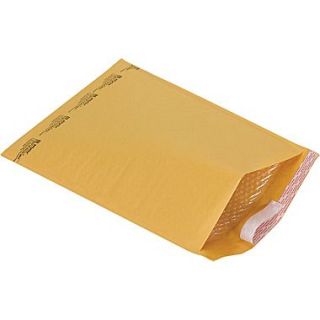 Bubble Wrap Cushioned Mailers in Bulk, #6, 12 1/2 x 18, 50/Case
