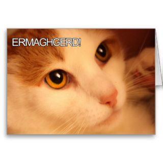 Ermahgerd Cute Cat Greeting Card