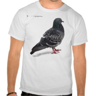 Pigeons T shirt