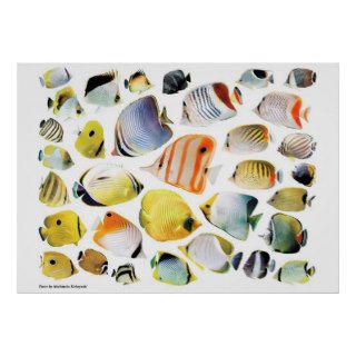 The Art of Butterfly fish Posters