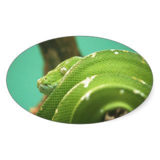Emerald Oval Stickers