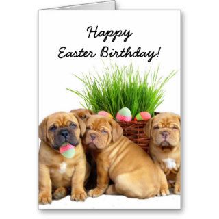 Happy Easter Birthday Dogue de Bordeaux pups card