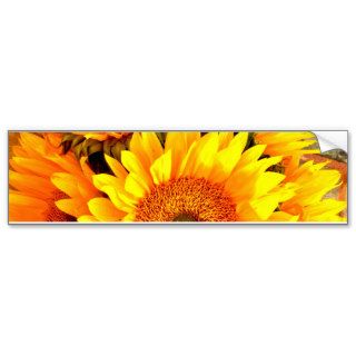 Beautiful Sunflower Bouquet Gifts Bumper Stickers