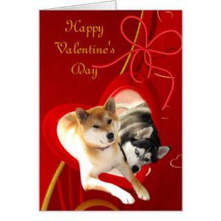 Shiba and Siberian Valentine's Day Card