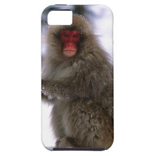 Monkey Snowball Fight Japanese Snow iPhone 5 Cover