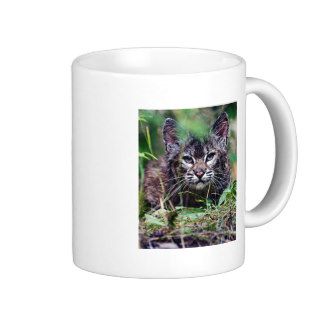 Bobcat Kitten Peering through the grass Mug