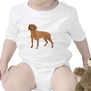 Tiroler Bracke Dog Baby Bodysuit