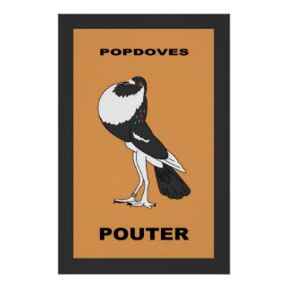 English Pouter Poster