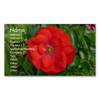 Rose Business Cards