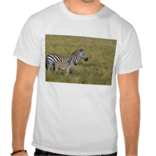 Mother and Young Plains Zebras, Serengeti National Tee Shirt