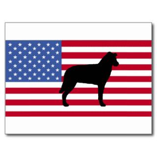 chinook silhouette flag postcards