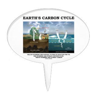 Earth's Carbon Cycle (Earth Science) Cake Topper