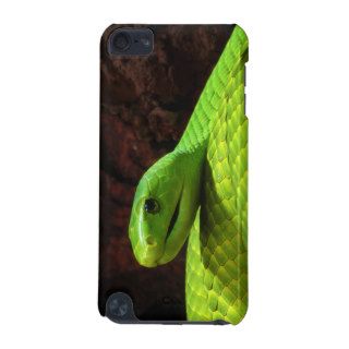 Eastern Green Mamba Dendroaspis Angusticeps iPod Touch 5G Case