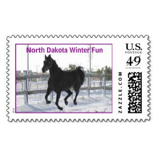 SQ Oct Snow Storm 20, North Dakota Winter Fun Postage Stamp