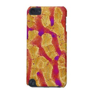 Interior of Rat Liver iPod Touch 5G Cases
