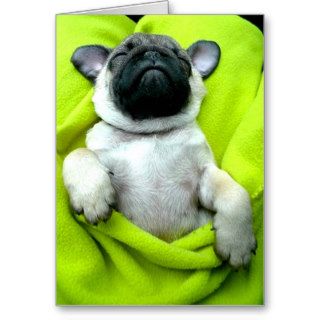 Pug Napping on Back Card